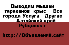 Выводим мышей ,тараканов, крыс. - Все города Услуги » Другие   . Алтайский край,Рубцовск г.